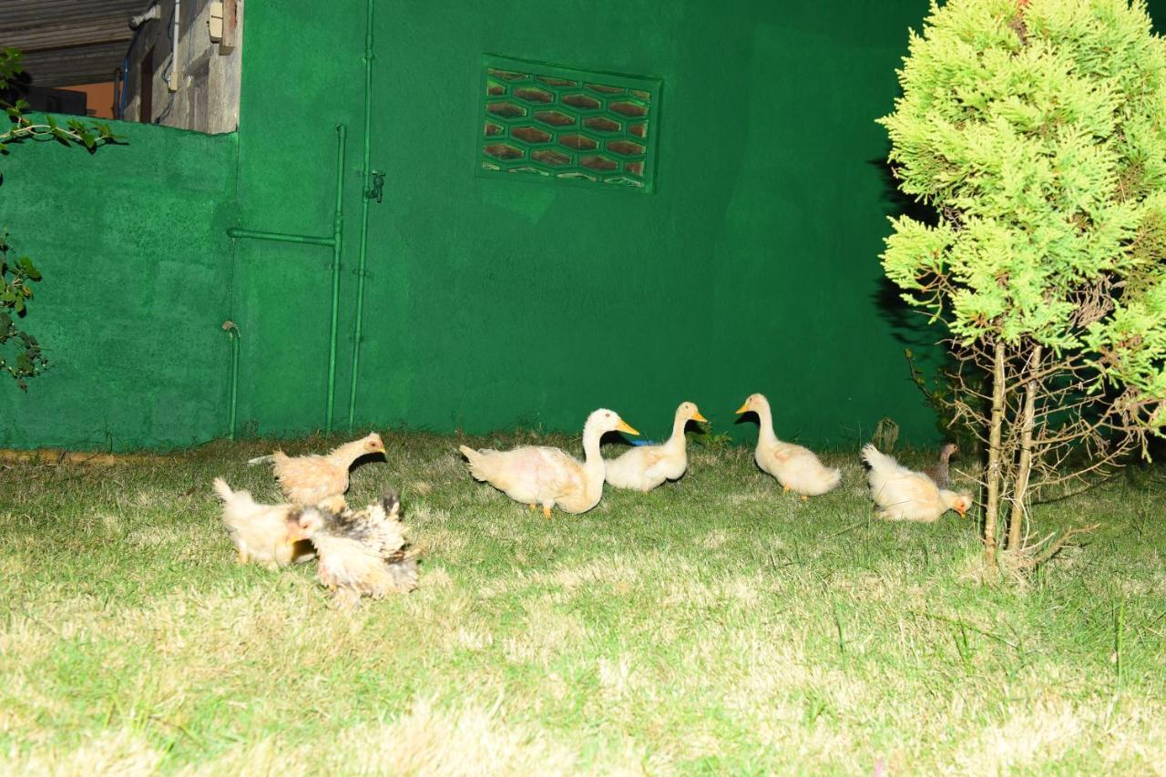 K G N Farmhouse Kundapur Exterior photo